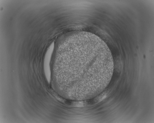 X0000068280131200605191903