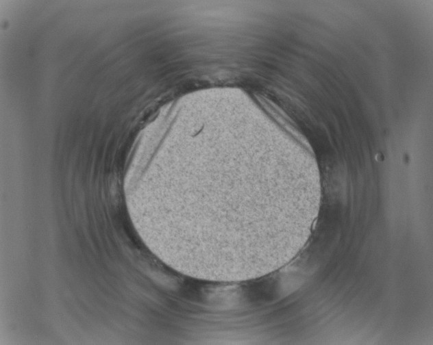 X0000068280132200605191903