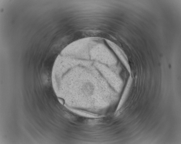 X0000068280134200605191903