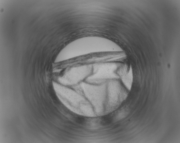 X0000068280135200605191903