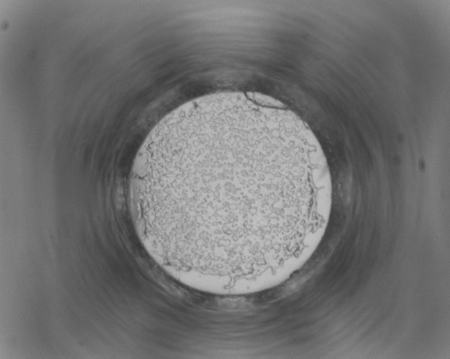 X0000068280137200605191903