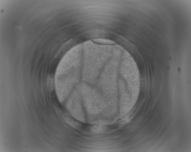 X0000068280142200605191902