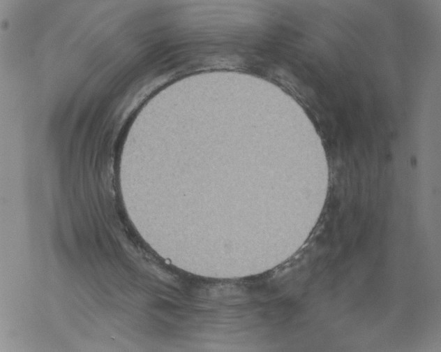 X0000068280146200605191902