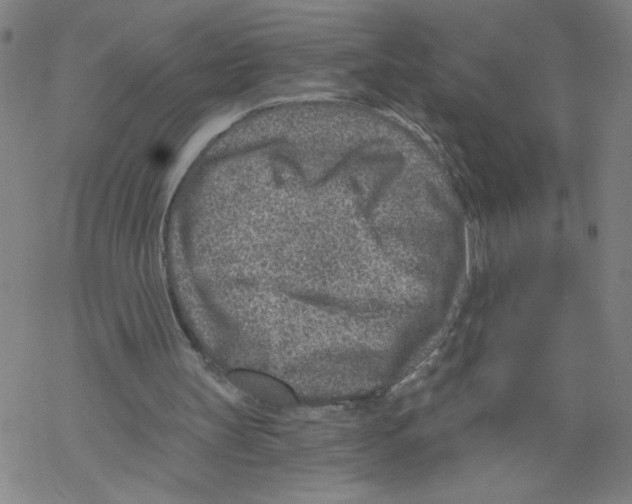 X0000068280147200605191902