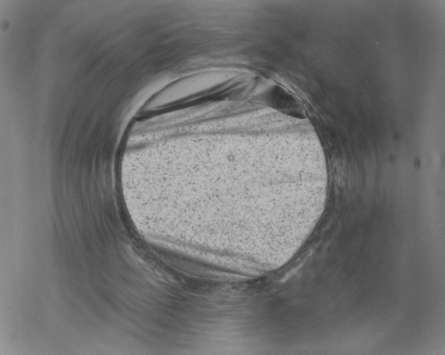 X0000068280148200605191902