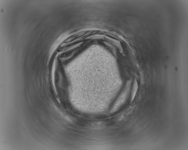 X0000068280152200605191902