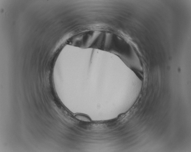 X0000068280154200605191902