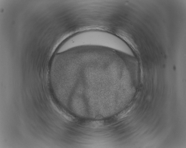 X0000068280156200605191902