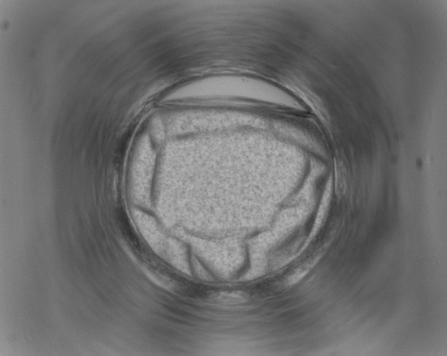 X0000068280157200605191902