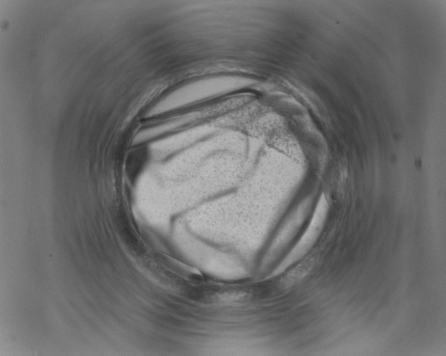 X0000068280158200605191902