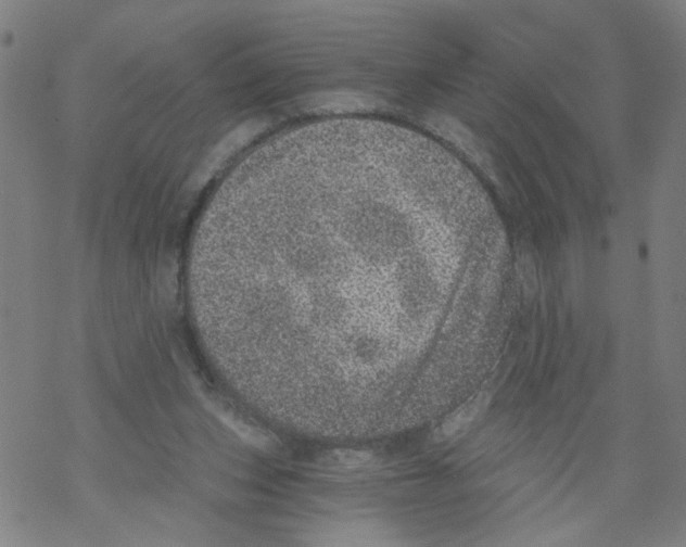 X0000068280159200605191902