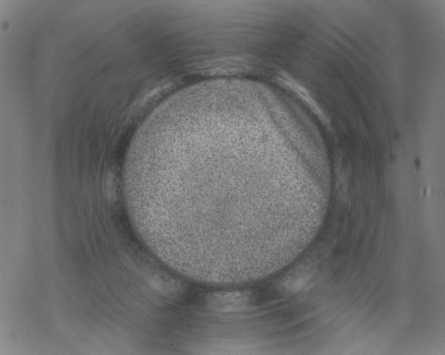 X0000068280161200605191902