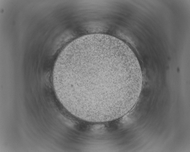 X0000068280162200605191902