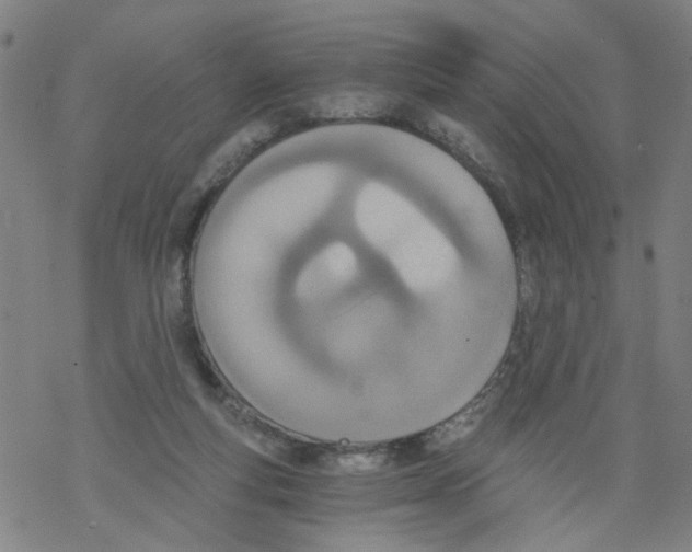 X0000068280163200605191902