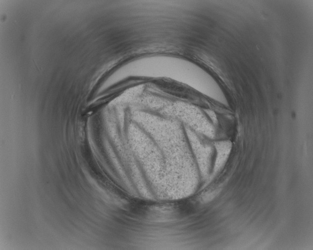 X0000068280164200605191902