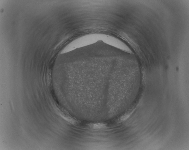 X0000068280165200605191902