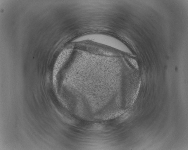 X0000068280166200605191902