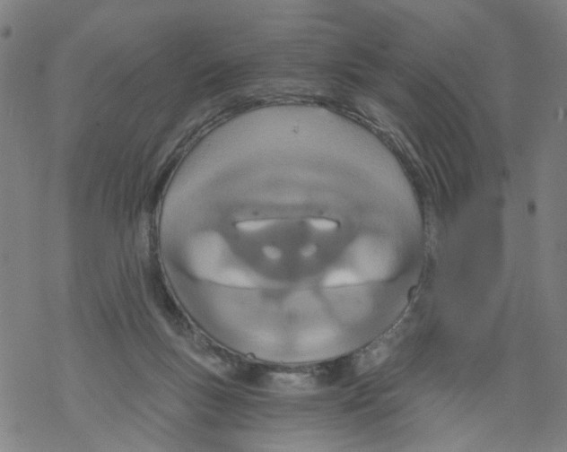 X0000068280167200605191902