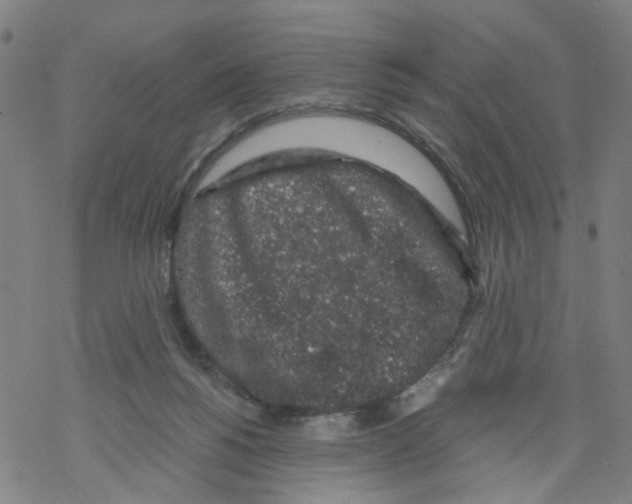 X0000068280168200605191902