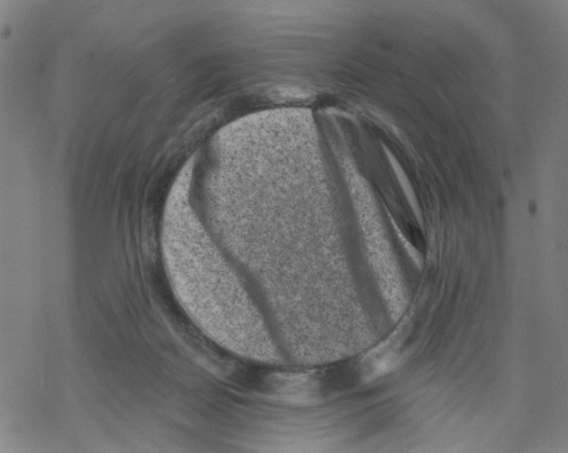 X0000068280170200605191902