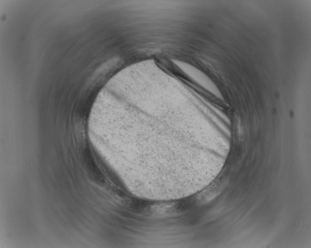 X0000068280172200605191902