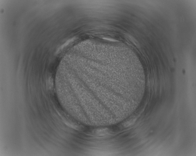 X0000068280173200605191902