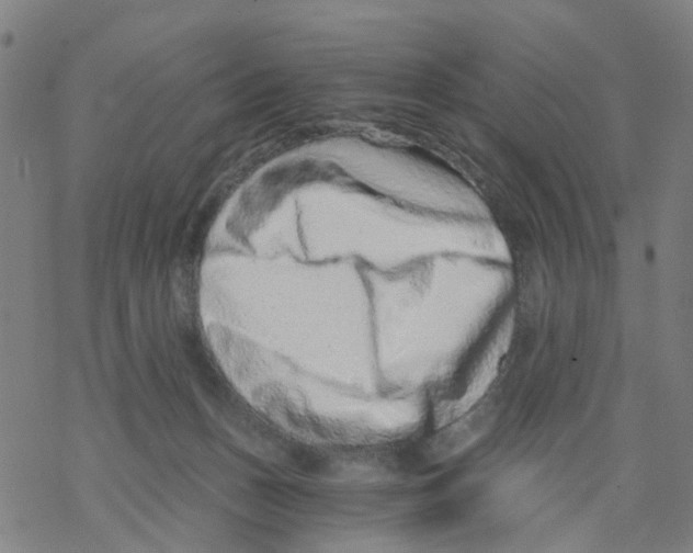 X0000068280175200605191902