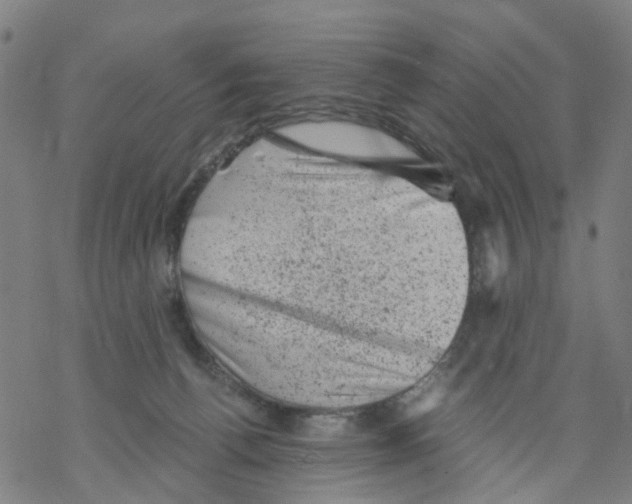 X0000068280176200605191902