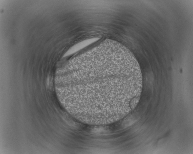 X0000068280177200605191902