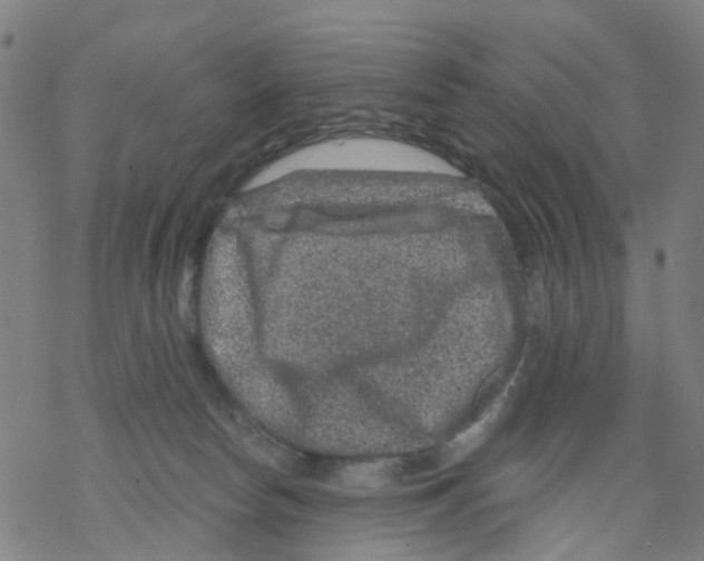 X0000068280178200605191902