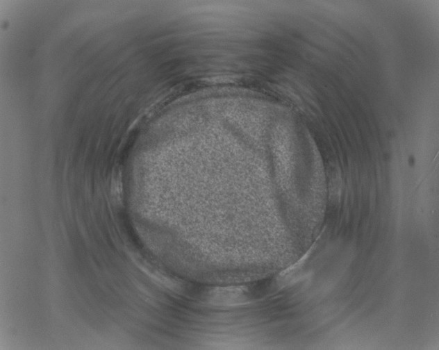 X0000068280179200605191902