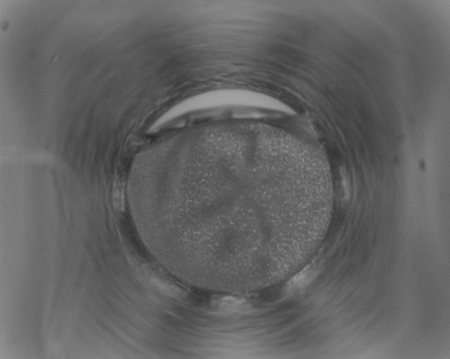 X0000068280180200605191902