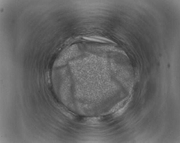 X0000068280182200605191902