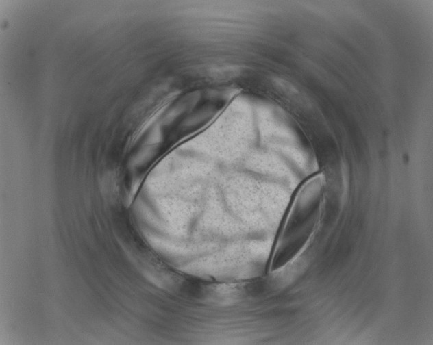 X0000068280184200605191902