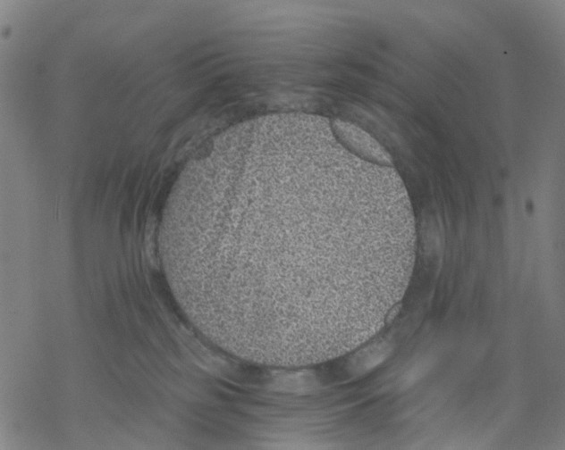 X0000068280185200605191902