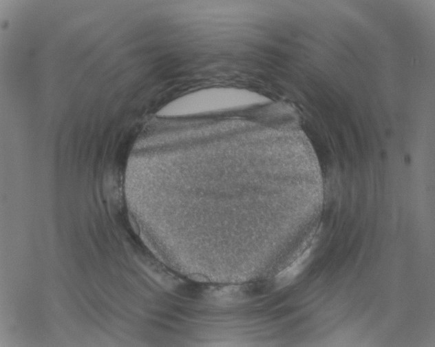 X0000068280186200605191902