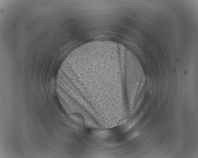 X0000068280189200605191902