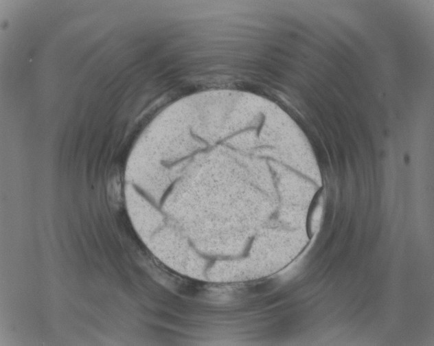 X0000068280190200605191902