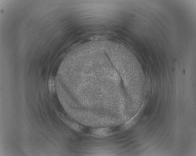 X0000068280191200605191902