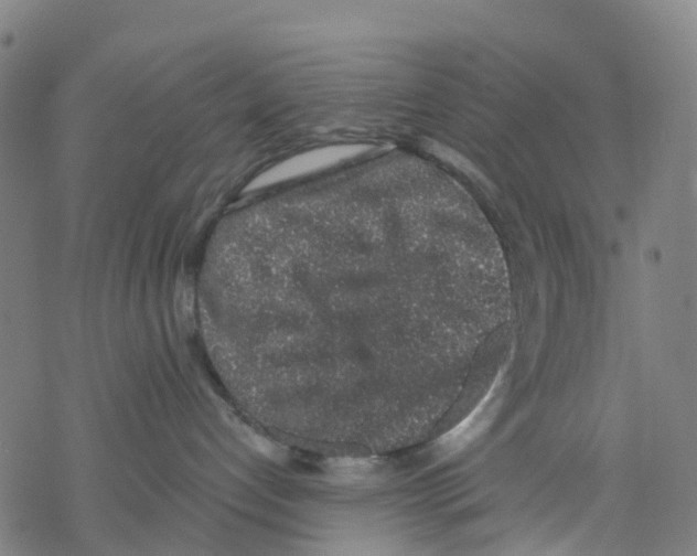 X0000068280192200605191902