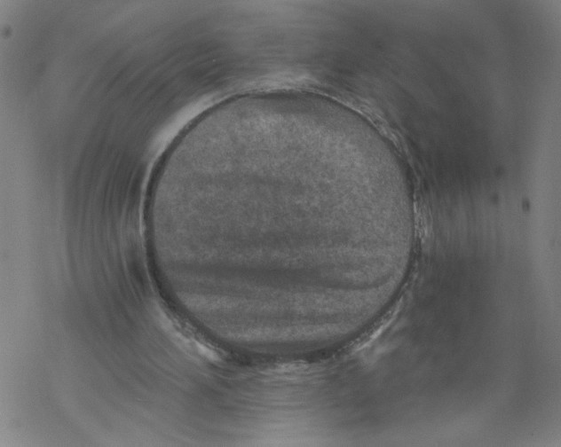 X0000068280196200605191902