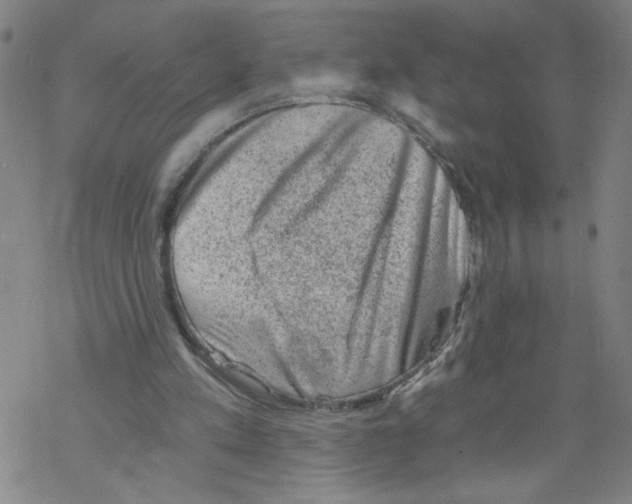 X0000068280197200605191902