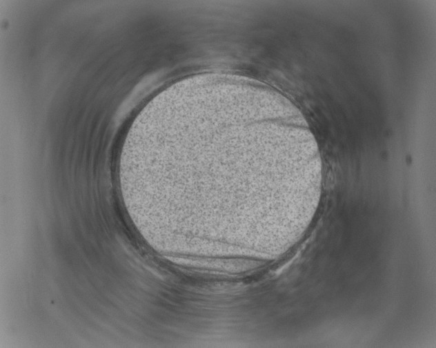 X0000068280198200605191902