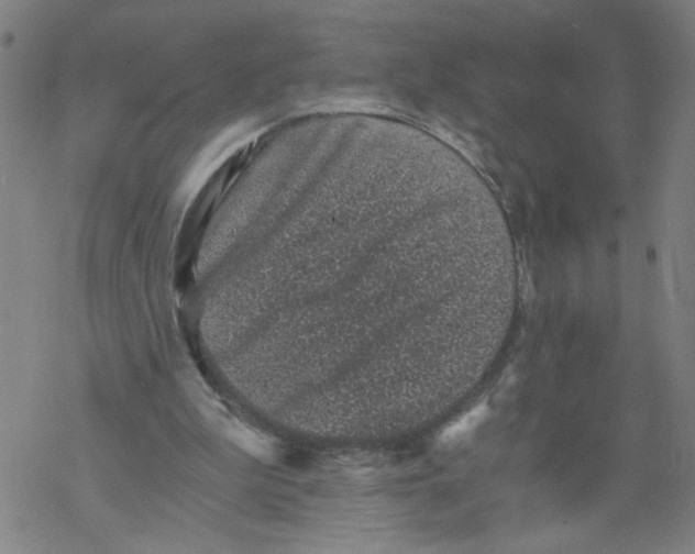 X0000068280199200605191902