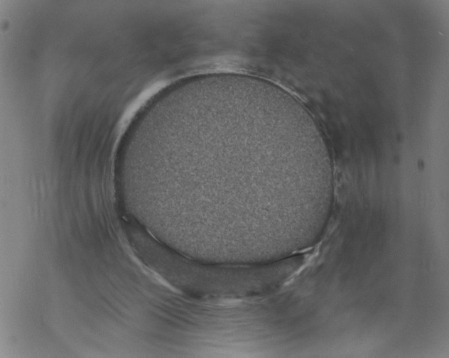 X0000068280200200605191902