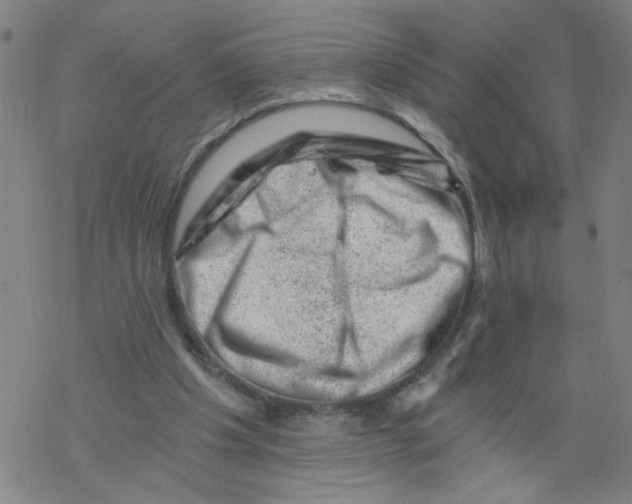 X0000068280201200605191902