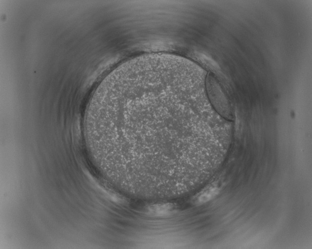 X0000068280202200605191901