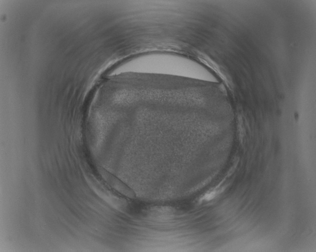 X0000068280203200605191901