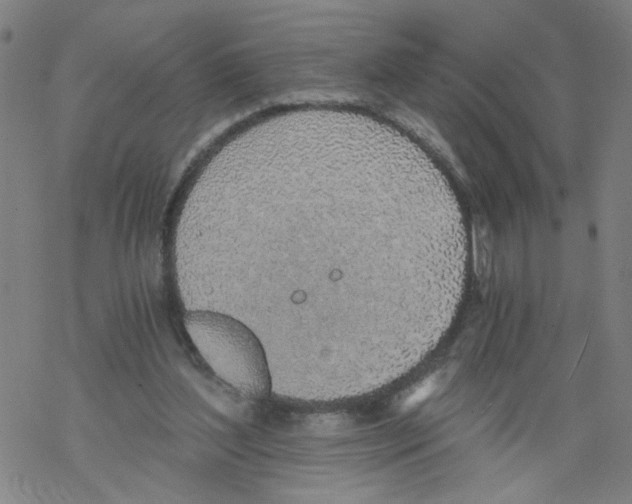 X0000068280204200605191901