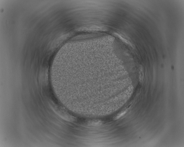 X0000068280206200605191901